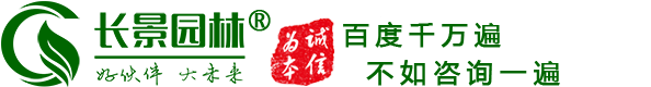 [長(cháng)景園林] 苗木批發(fā)基地-綠化公司-提供苗木報價(jià)-品種名稱(chēng)圖片查詢(xún)
