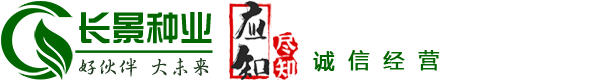 [長(cháng)景園林] 苗木批發(fā)基地-綠化公司-提供苗木報價(jià)-品種名稱(chēng)圖片查詢(xún)