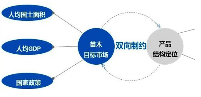 學(xué)習國外苗木行業(yè)經(jīng)驗，搶先了解國內市場(chǎng)動(dòng)態(tài)