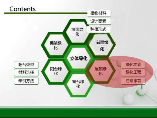 立體綠化規劃圖--屋頂綠化