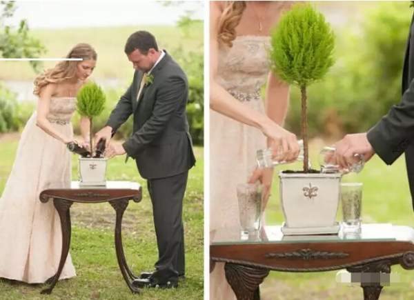 結婚離婚要植樹(shù)