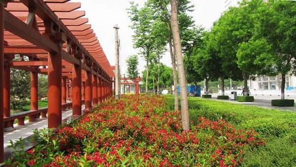長(cháng)廊邊的錦帶花