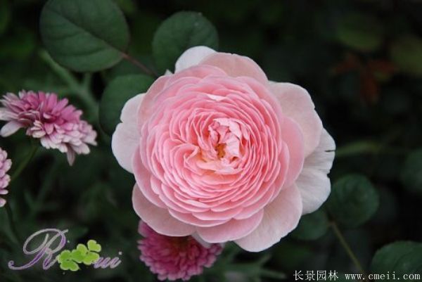 歐月-長(cháng)景園林