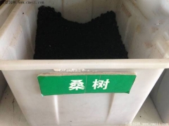 桑樹(shù)種子