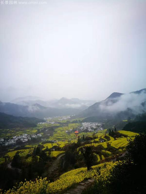 黃色花海油菜花田景觀(guān)鄉村旅游