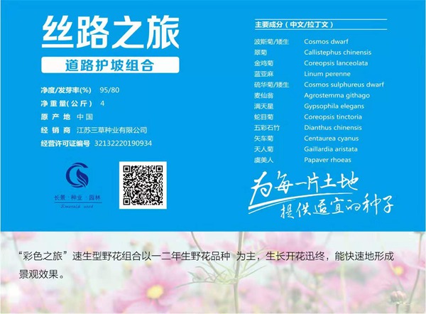 道路護坡野花組合_圖片_種子價(jià)格
