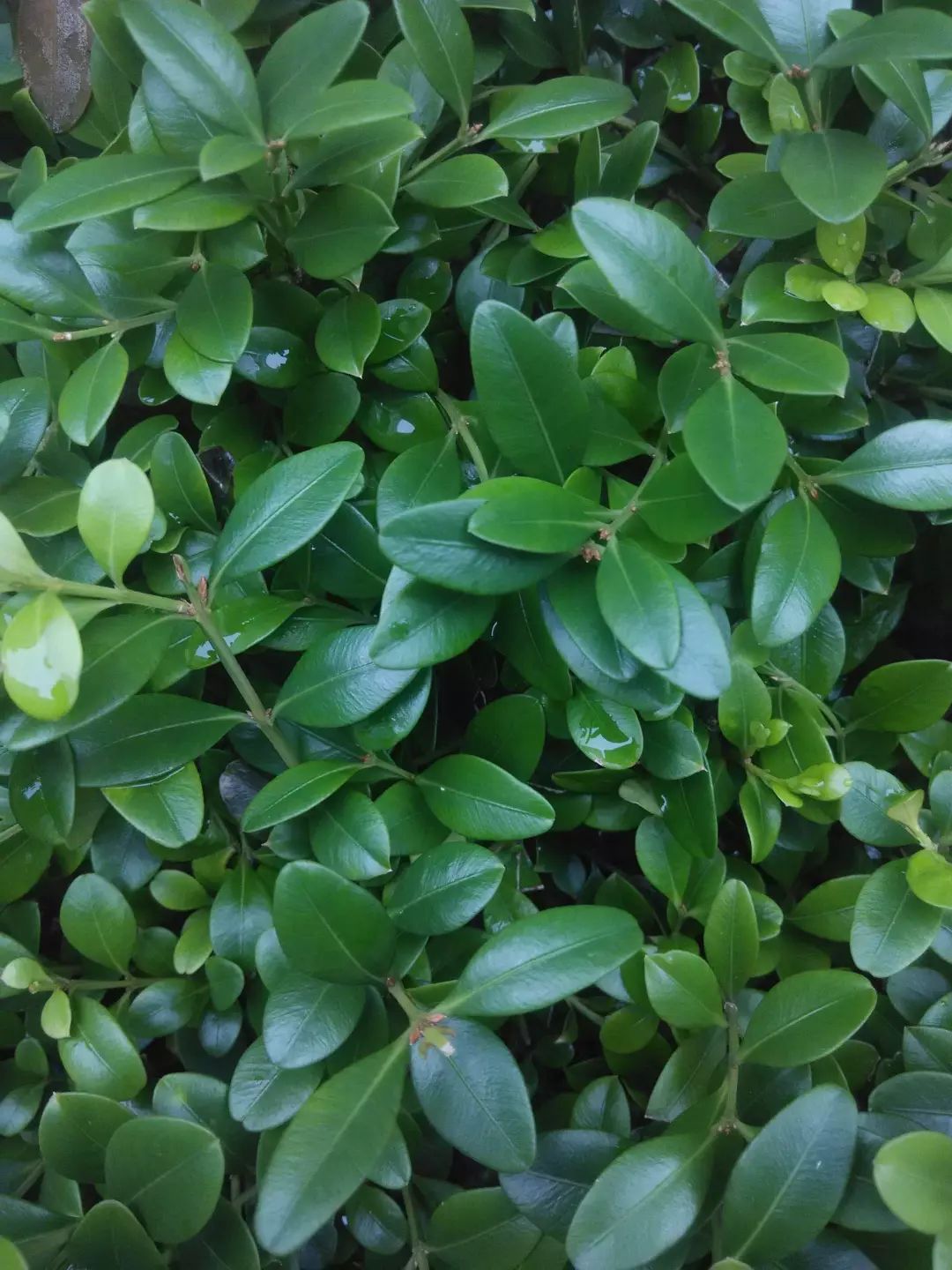 1676896010174311.jpg 微信圖片_20230204140827.jpg